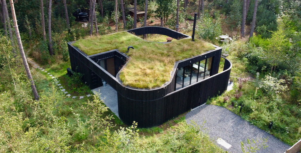 Bosvilla Zwarte zwaan. Bos tuin en turfdak.