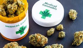 UNDERSTANDING THE MANY MEDICAL MARIJUANA USES
