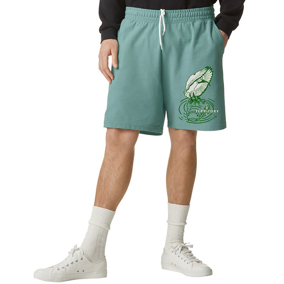 Thumbnail: iBiS TERRiTORY : SHORTZ (uni.)