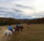 riders and horses in a field looking at mountains