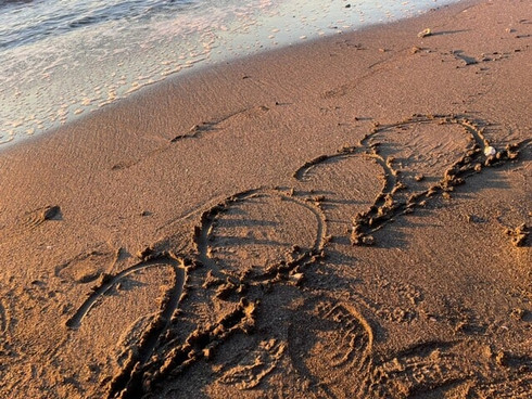 2022_beach.jpeg