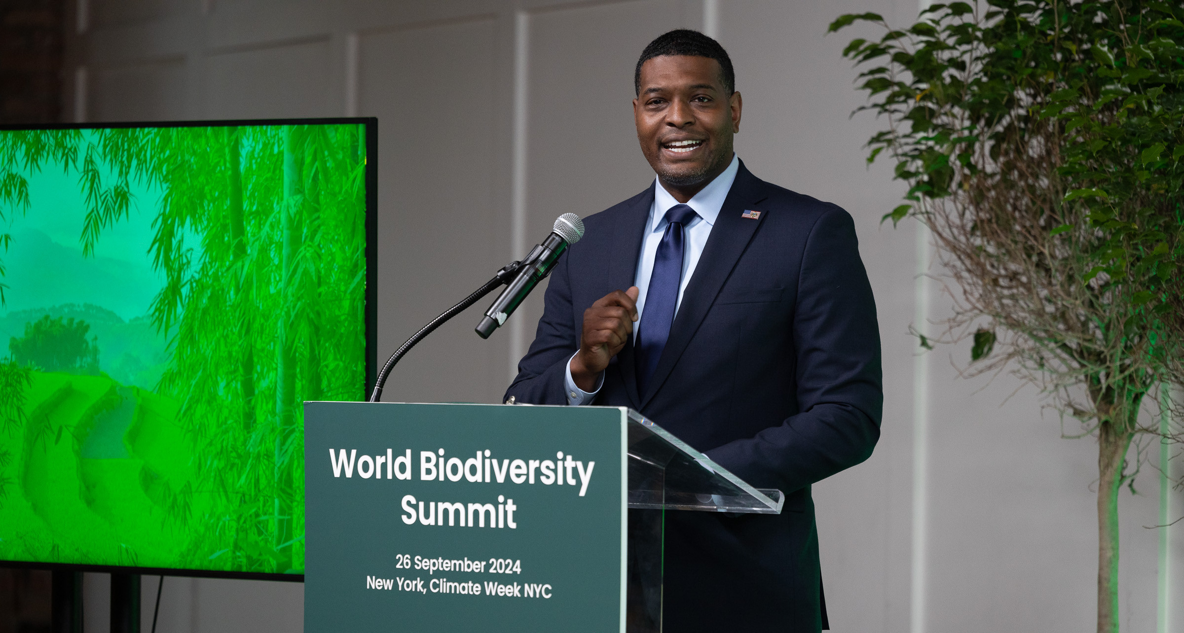 Outcomes Of World Biodiversity Summit New York Edition 2024 Outcomes Of World Biodiversity Summit New York Edition 2024