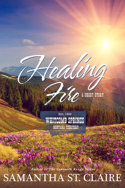 Healing Fire_Sam St. Claire_cover
