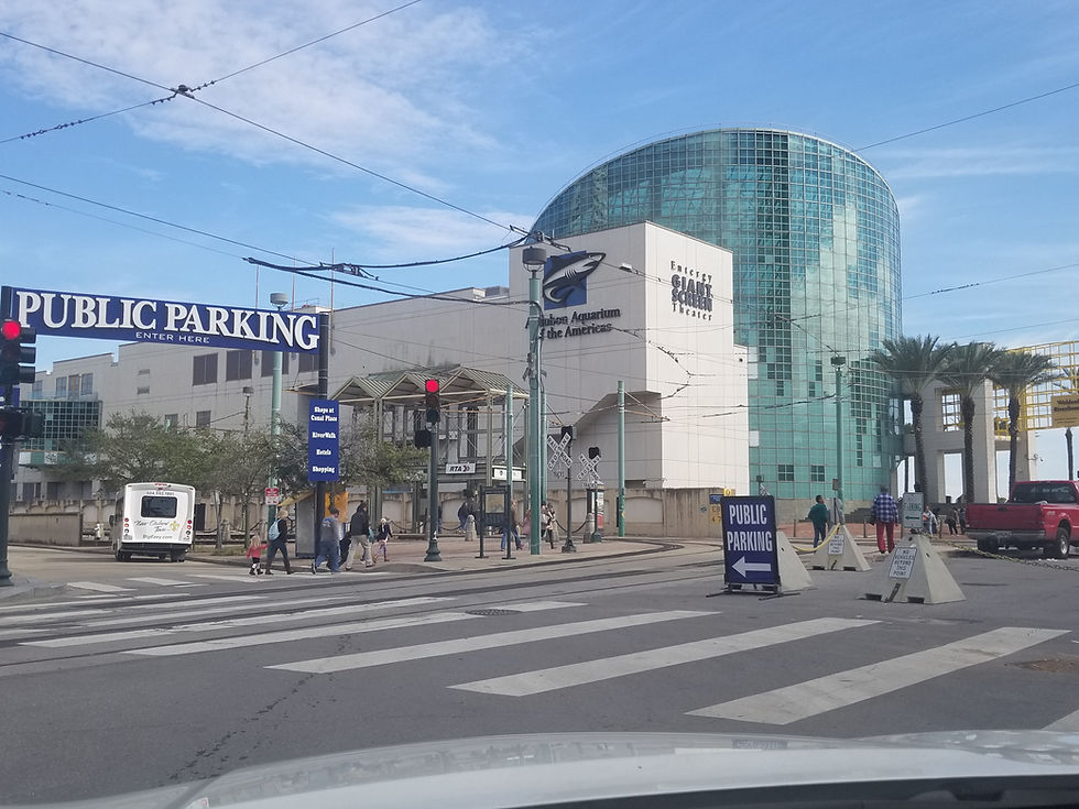 Audubon Aquarium Nov. 2018