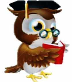 CLASS Owl mascot