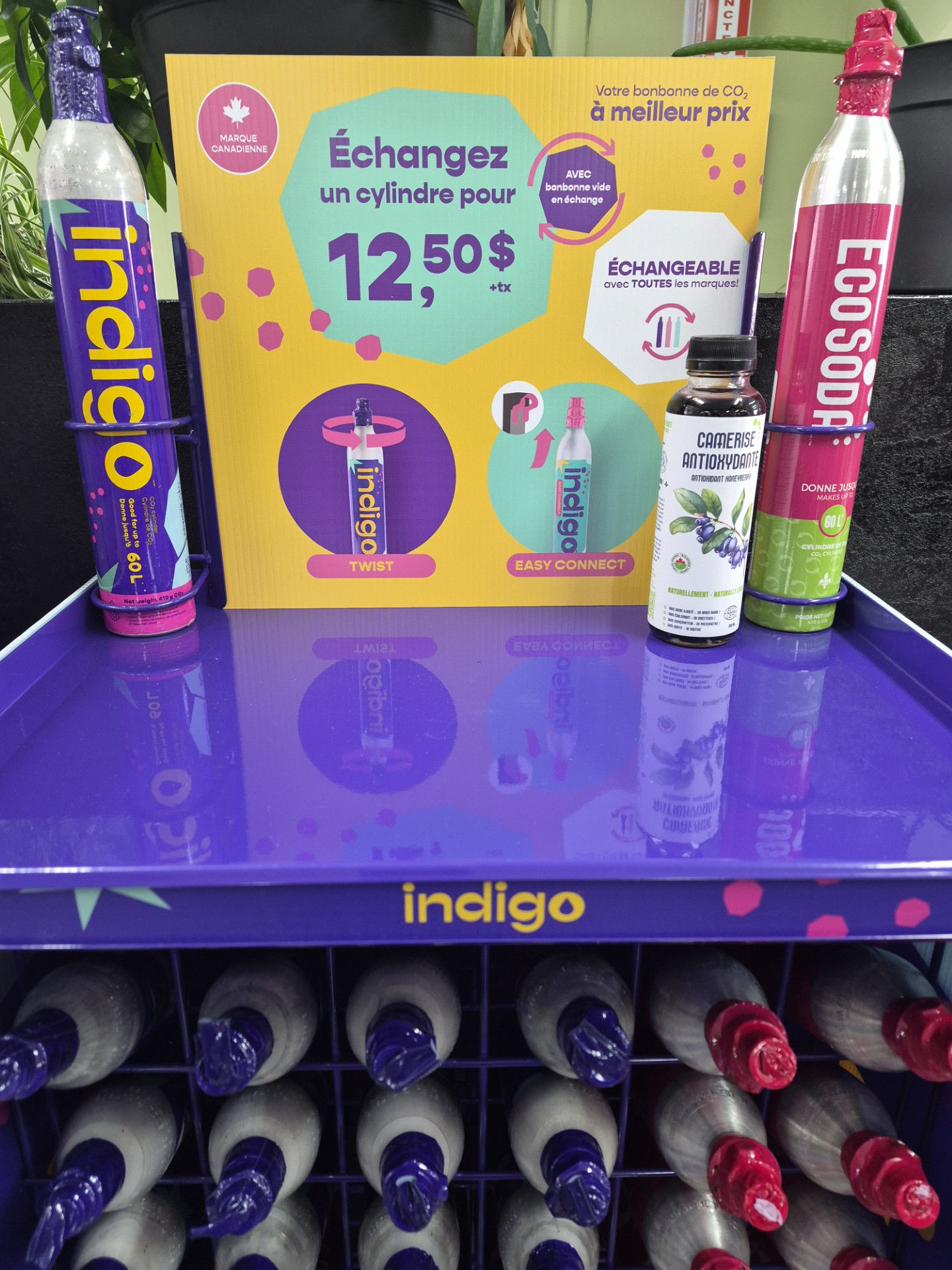 Indigo Échange bouteille