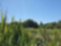 20220706_114940.jpg