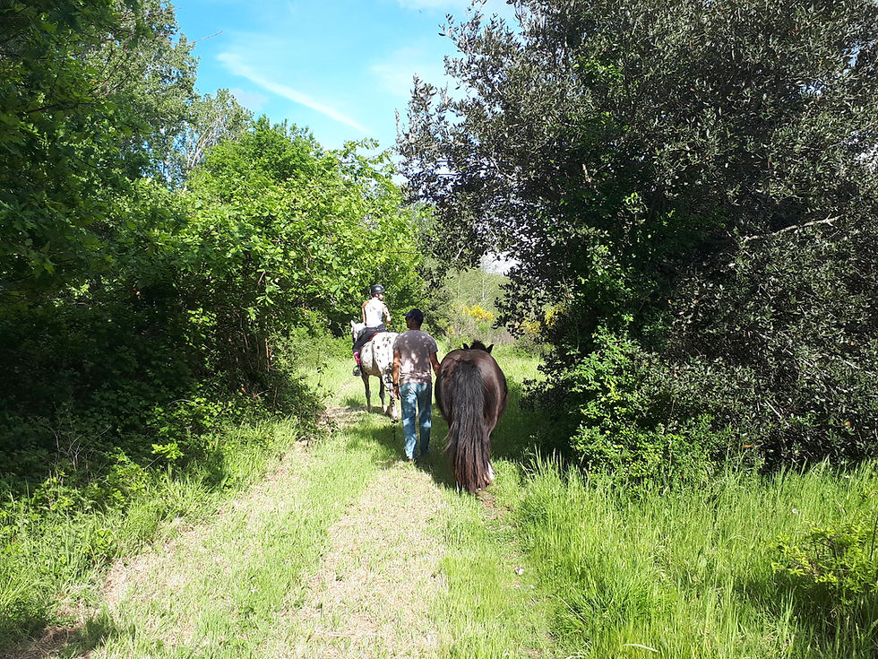 Espace équestre du Marais de Bréjat