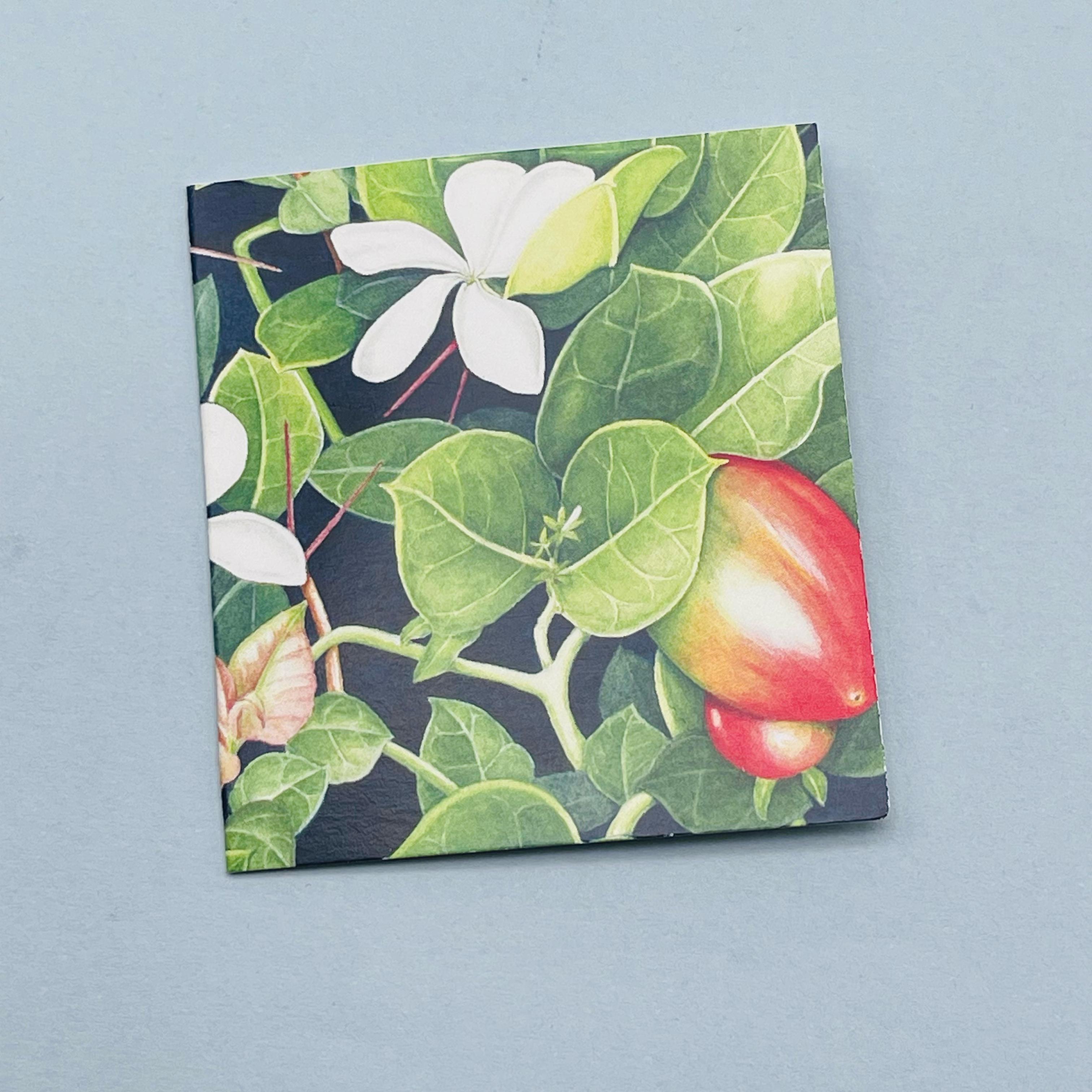 Carissa Macrocarpa Mini Card