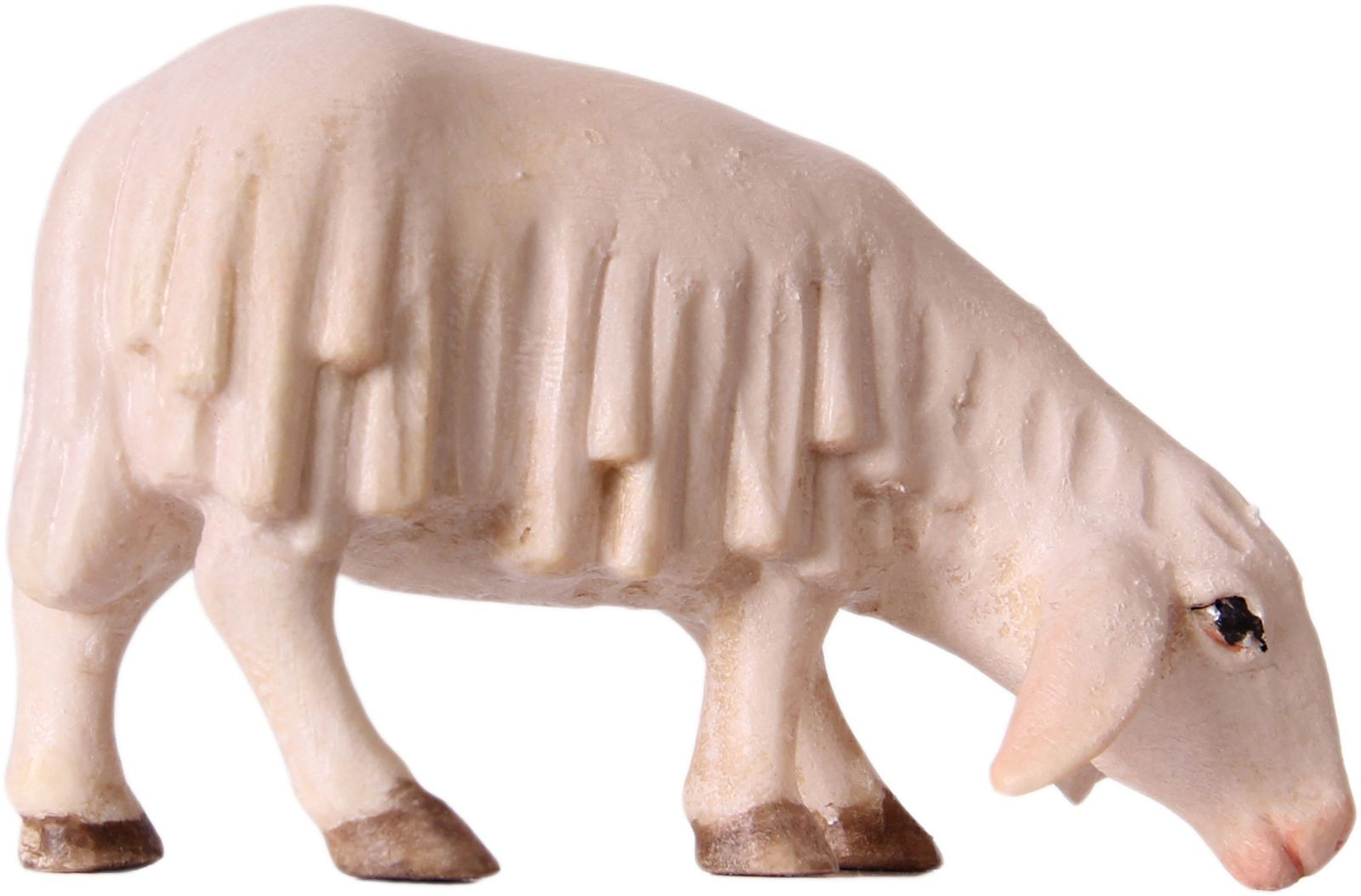 Schafe, fressend, schauend, liegend