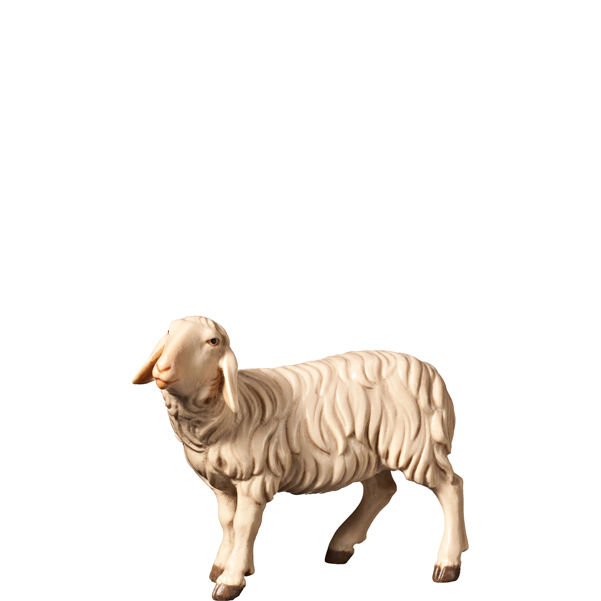 Miniaturbild: Schafe, Preis für ein Schaf