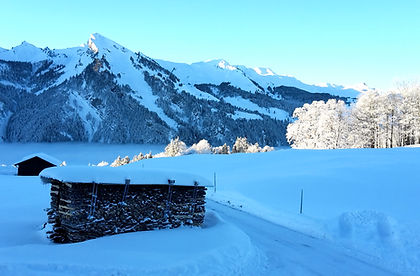 20170120_084929_edited.jpg