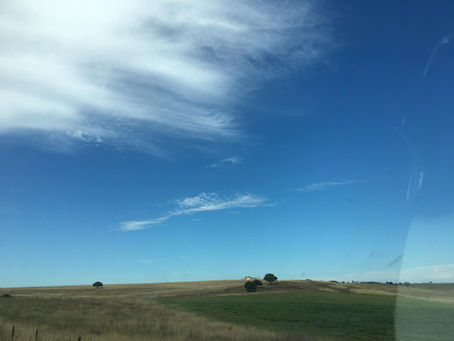 Primavera