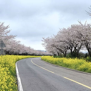 #녹산로.#제주공항대형콜밴