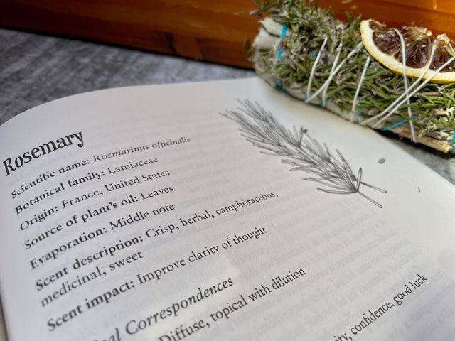 Thumbnail: Blackthorn's Botanical Magic