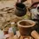Thumbnail: Wild Adventure - Mindful Potion Kit