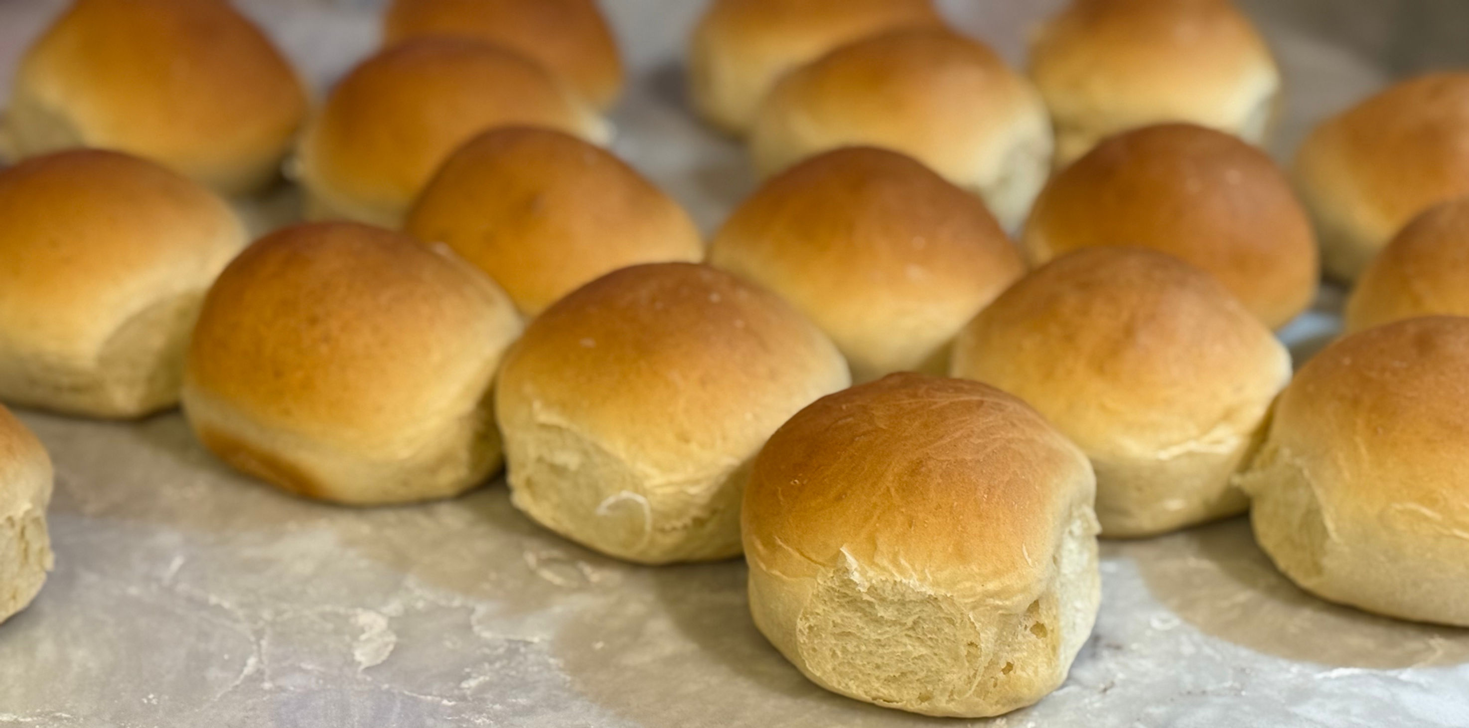 Dinner Rolls