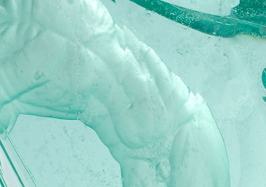 Surf (Male)
