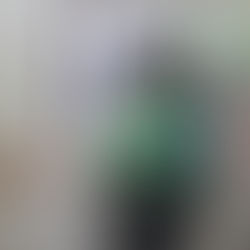 Explosão de ideias – o processo do Inspetor Geral 2011