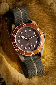 Tudor Pelagos Bronze