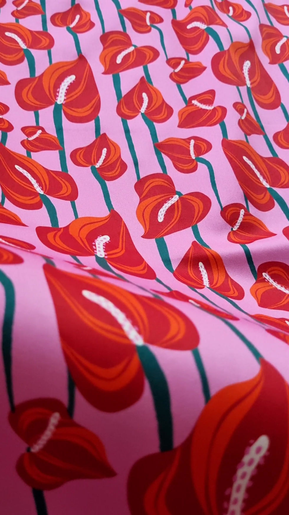 Thumbnail: The Anthuriums