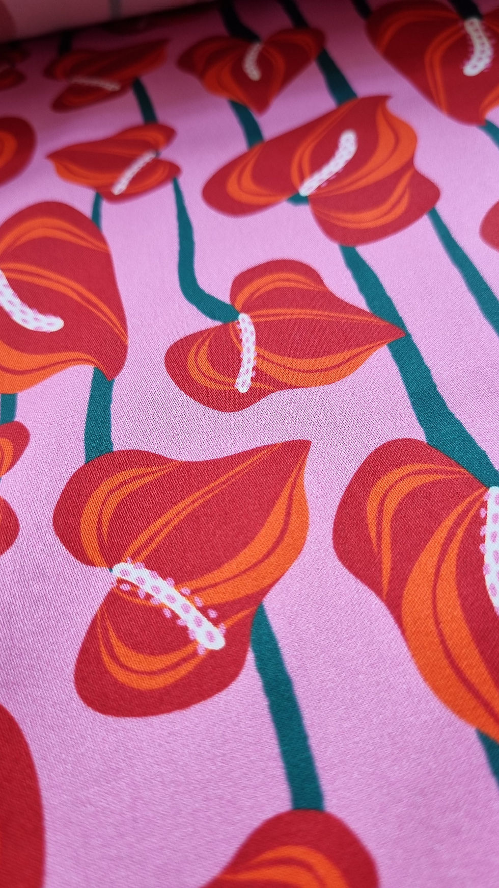 Thumbnail: The Anthuriums