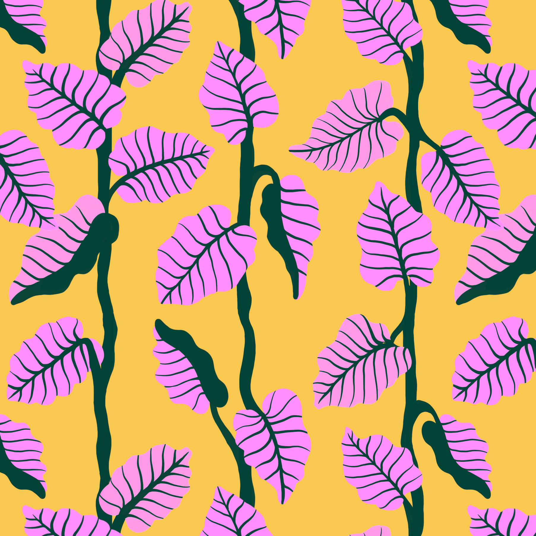 The Caladiums
