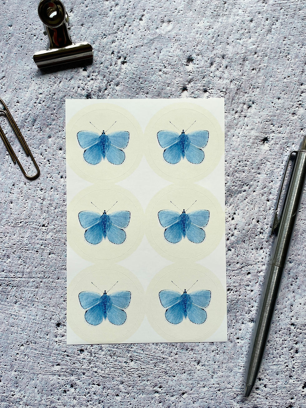 Blue Butterfly Sticker Set