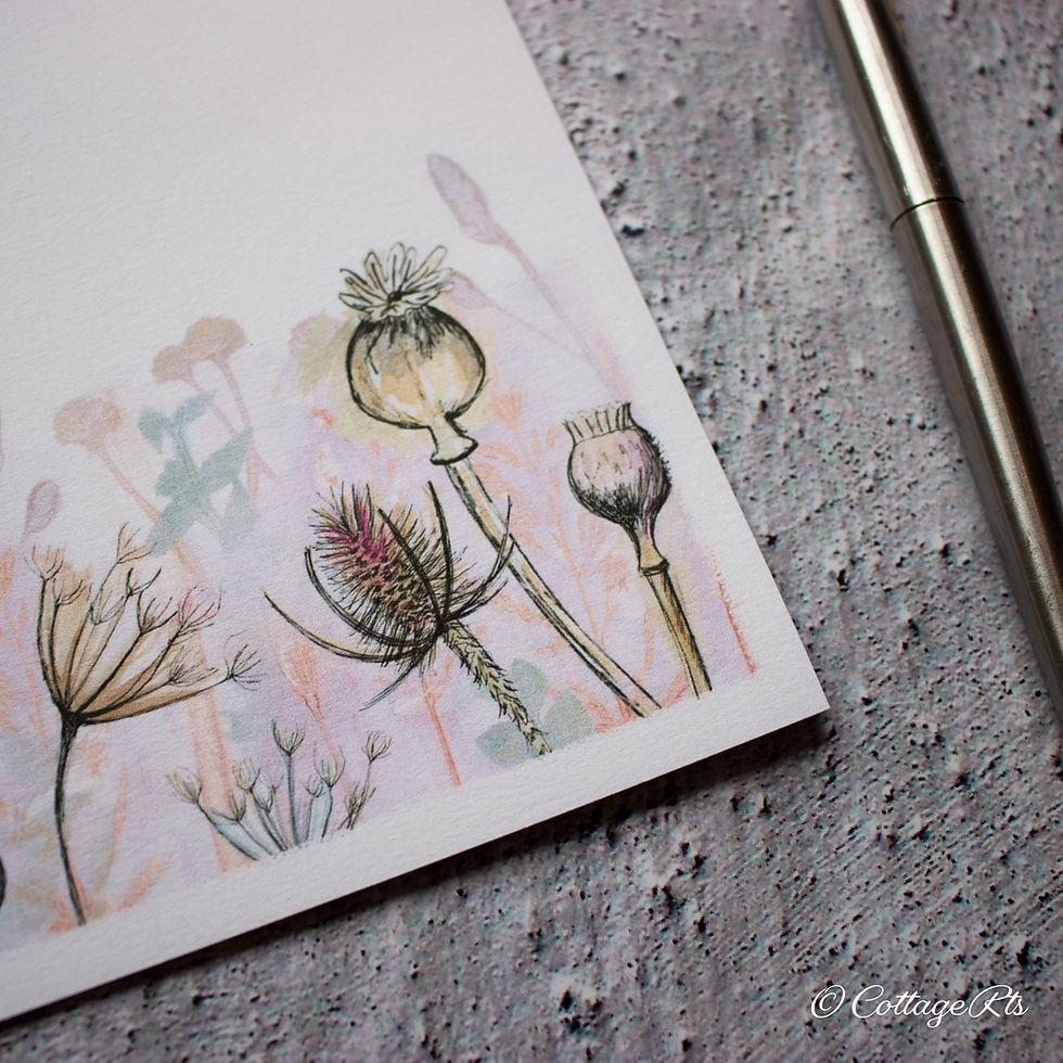 Thumbnail: Seed Head Letter Writing Paper Artwork Close Up