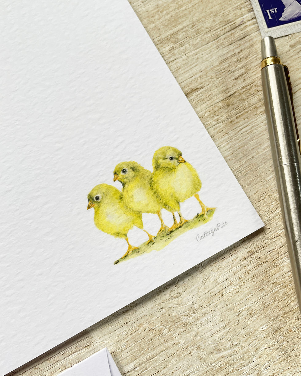 Three Little Chicks Letter Paper Close Up