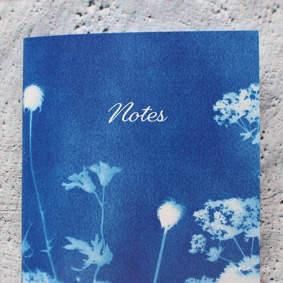 Thumbnail: Botanical Cyanotype A6 Nature Print Notebook - Lined Pages