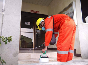 pest-assassins-pest-control-services.jpe