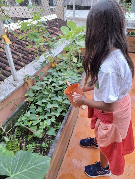 Crescendo com a Natureza: O Protagonismo Infantil na Jornada das Plantas Medicinais