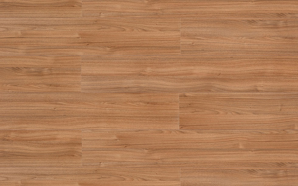 2268-eucafloor-evidence-nogueira-malaga-20181213203843