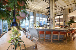 EXPERIÊNCIA ALDEIA DO VALE