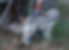 mithjuly226 - Copy.jpg