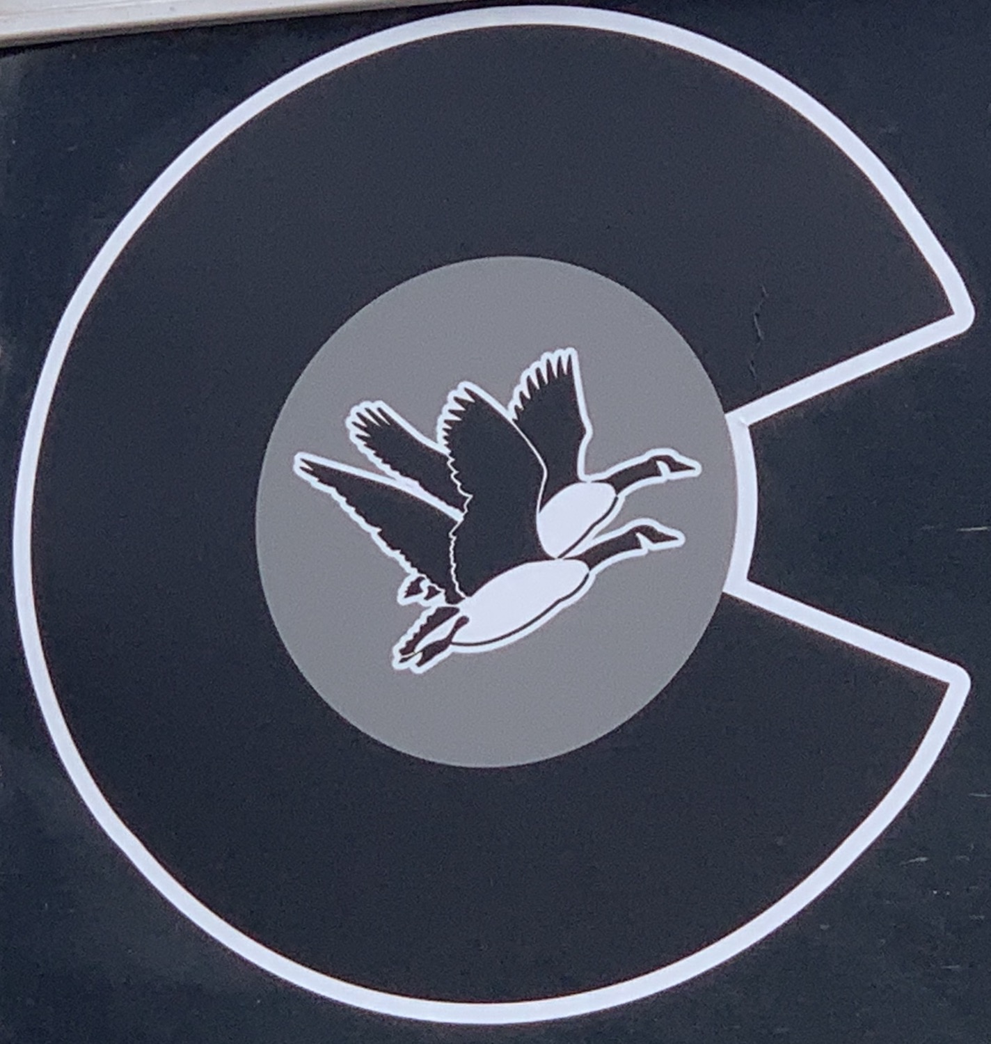 CCGC "C" 10" Sticker
