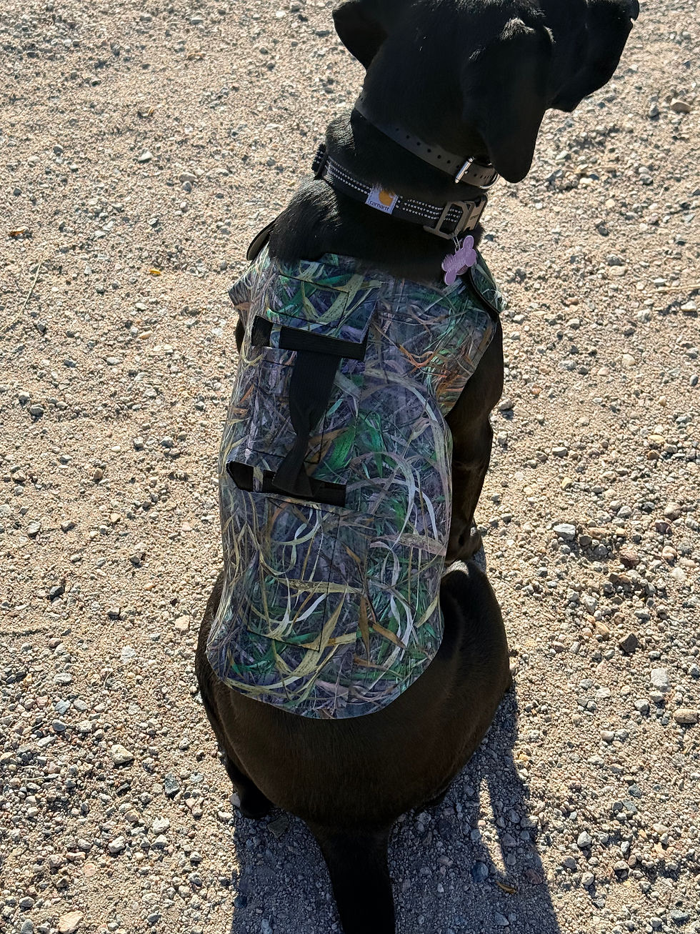 Thumbnail: Stela’s Early season dog vest
