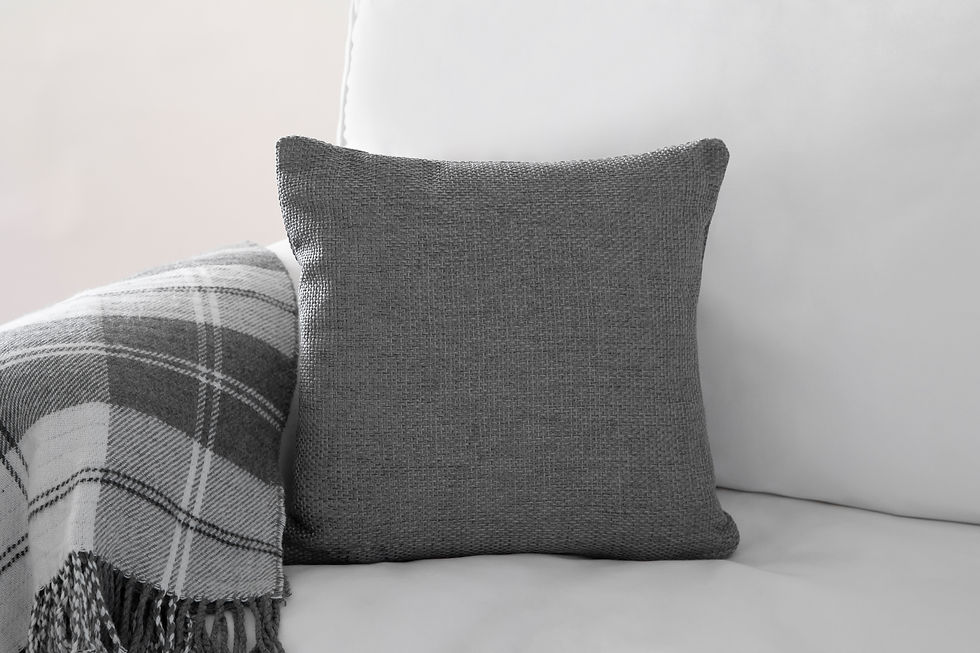 pillow on couch.jpg