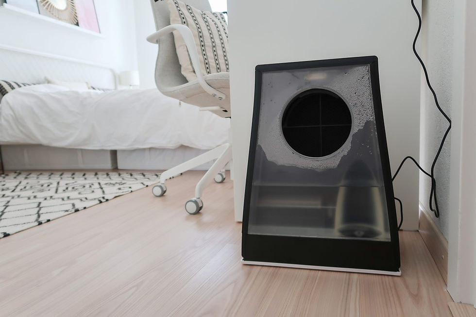 Air washer by Stadler Form