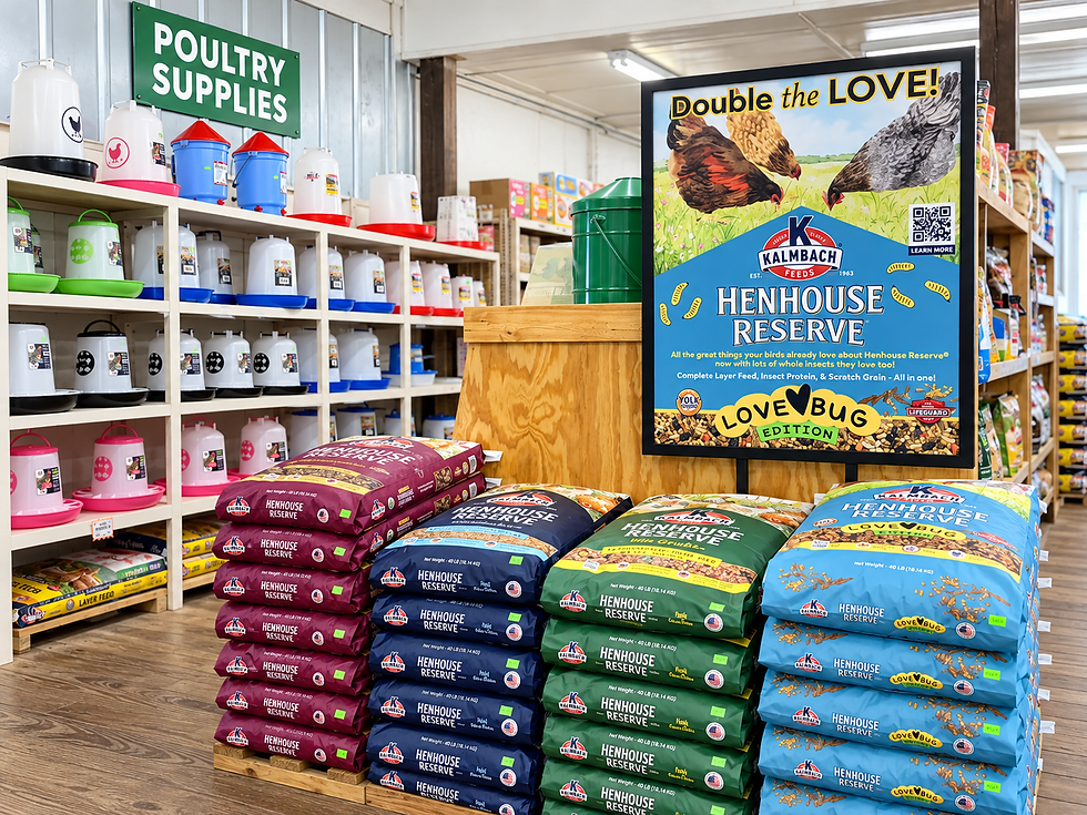 Manning’s Feed & Seed poultry section with chick feeders and waterers, plus stacks of Kalmbach Henhouse Reserve poultry feed and Love Bug Edition bags on display.