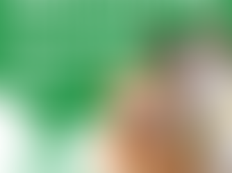 Decode Pet Food Labels: Choose the Best for Your Furry Friend!