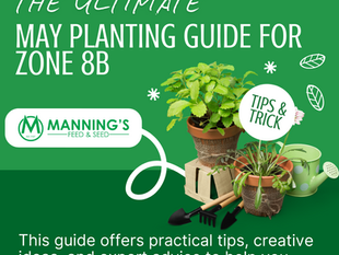 The Ultimate May Planting Guide for Zone 8b