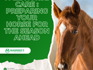 🐎 Fall Horse Care – Preparing Your Horse for the Season Ahead