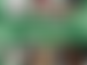 Our Pet of the Month Winners: A Year in Review