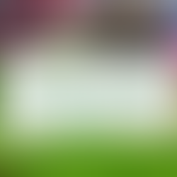 Backyard Ready: Lawn & Garden Prep for Memorial Day Weekend