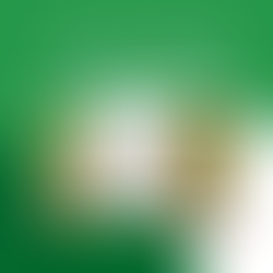 The Ultimate Tomato Plant Guide with 7 Easy Steps