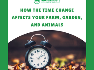 How the Time Change Affects Your Farm, Garden, and Animals