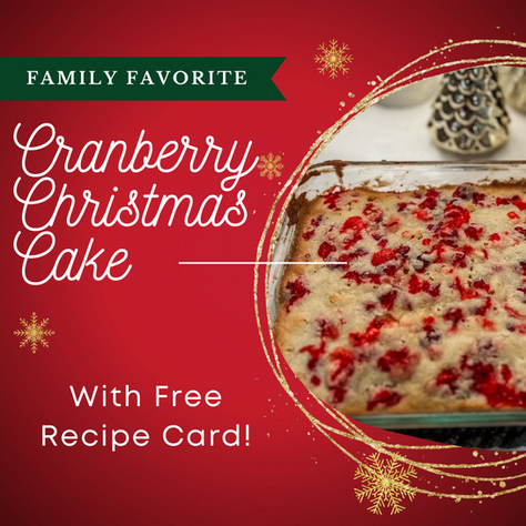 Must Try Cranberry Christmas Cake
