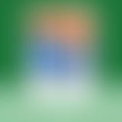 The Cat Behind the Counter: Cloud’s Story